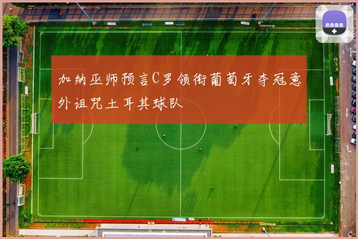 加纳巫师预言C罗领衔葡萄牙夺冠意外诅咒土耳其球队